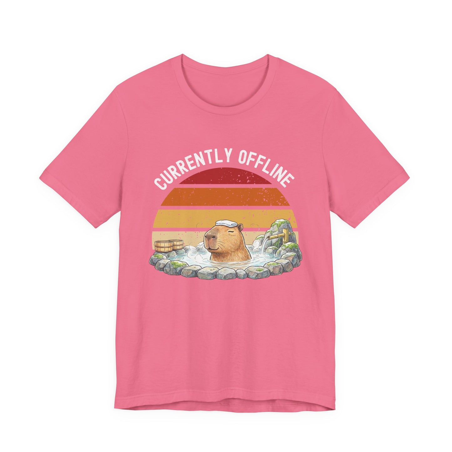 Currently Offline Relaxing Capybara Soak Retro Sunset T-Shirt