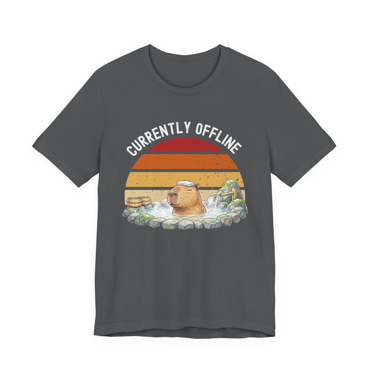 Currently Offline Relaxing Capybara Soak Retro Sunset T-Shirt